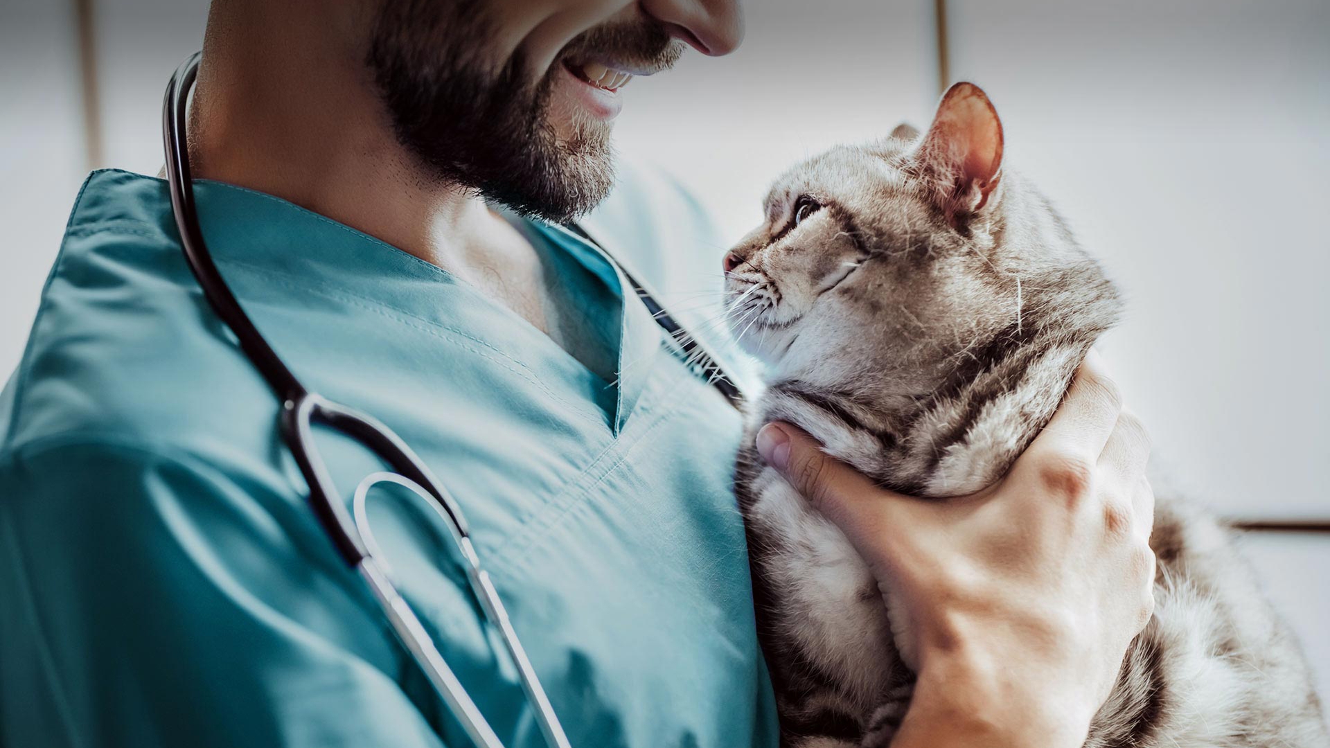 Çerkezköy Veteriner